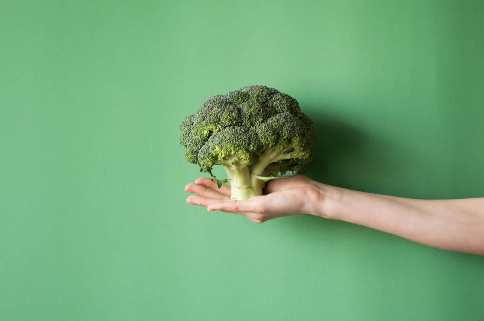 hand holding broccoli