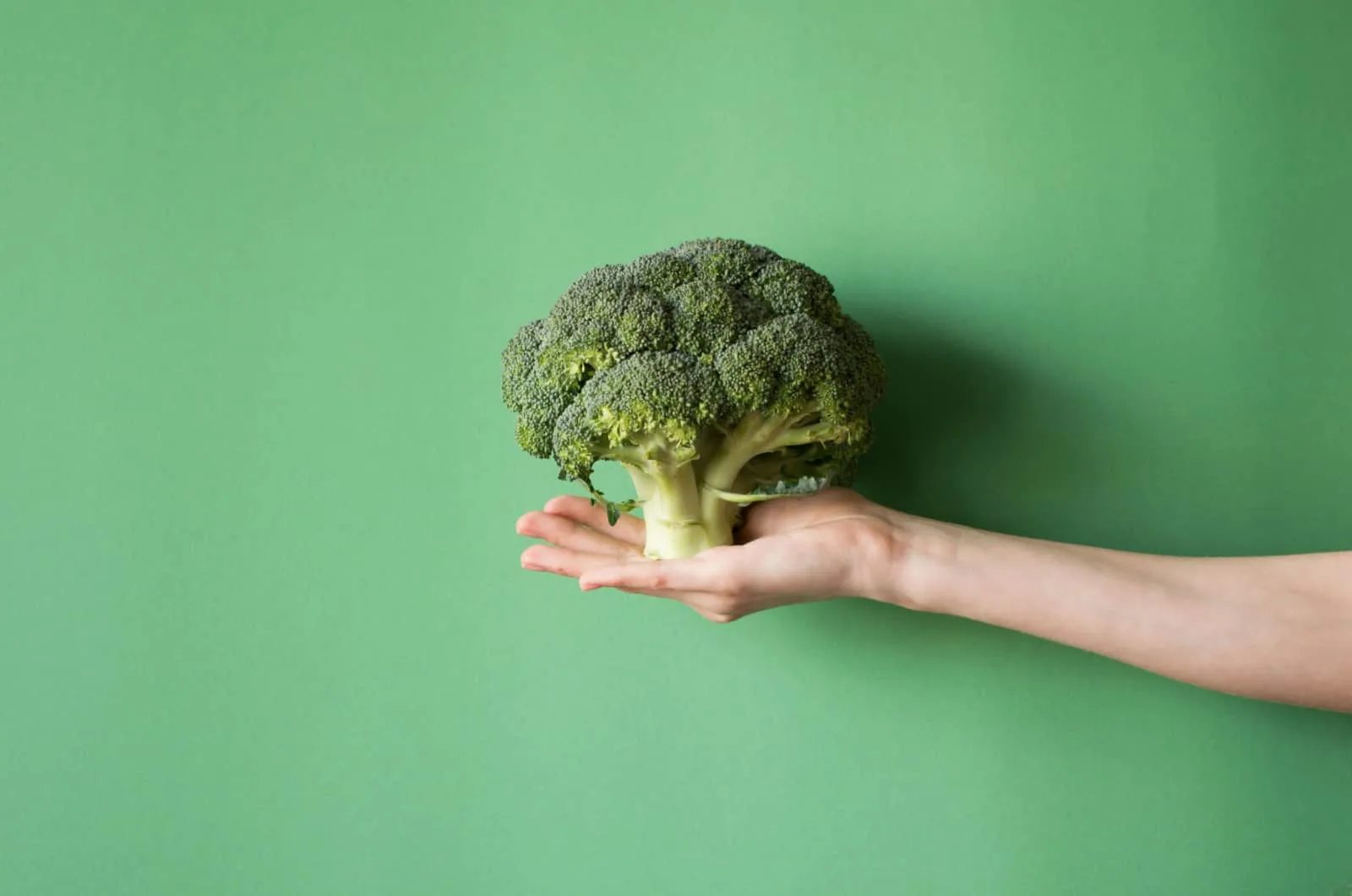 VEGETABLES - Page 2 of 4 - Positivebloom