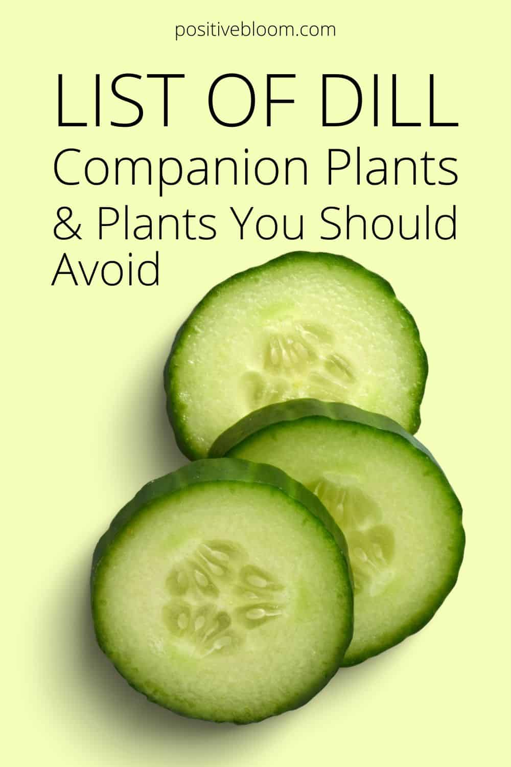 List Of Dill Companion Plants & Plants You Should Avoid Pinterest