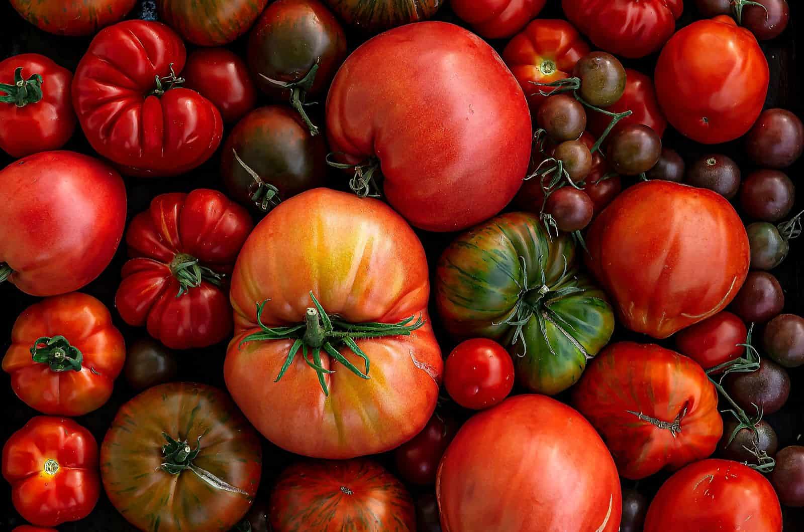 Sweetest Tomatoes: A List Of Delicious Tomato Cultivars