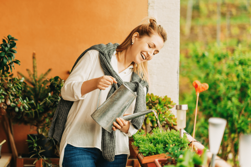 The Worst Time To Water Plants + The Best Way To Do It