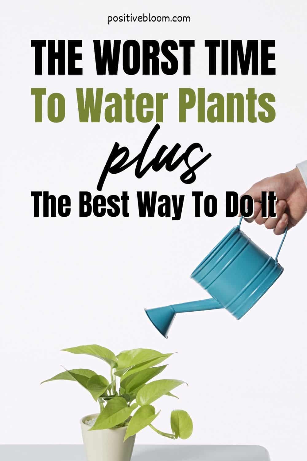 The Worst Time To Water Plants + The Best Way To Do It Pinterest