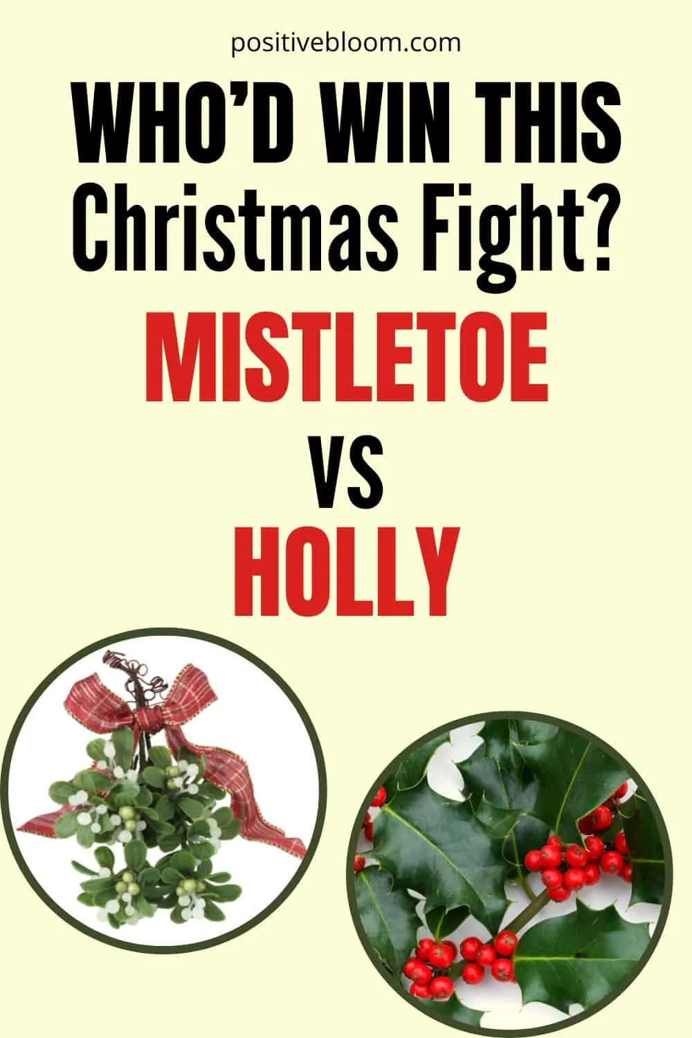 Who’d Win This Christmas Fight Mistletoe vs Holly Pinterest