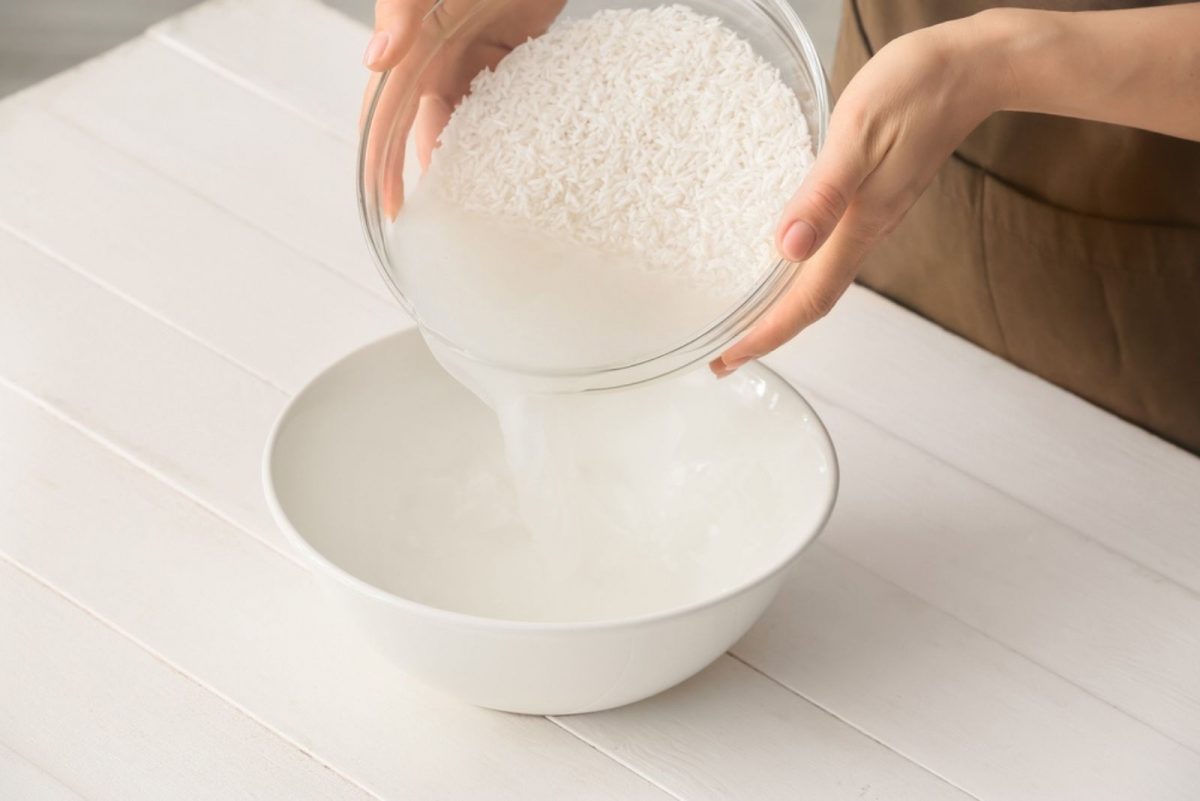 Pros And Cons Of Using Rice Water For Plants The Best Method