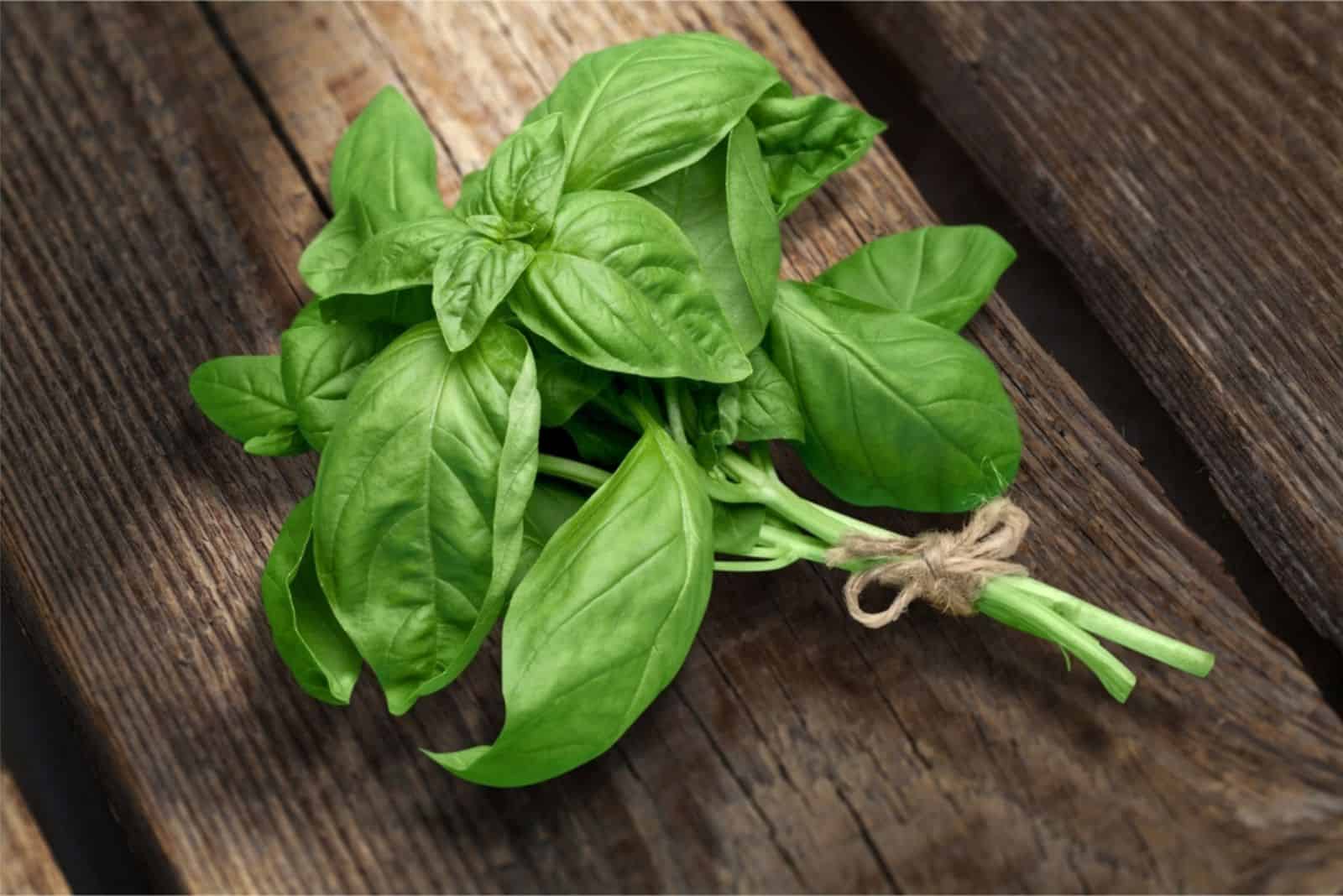 basil on wooden table
