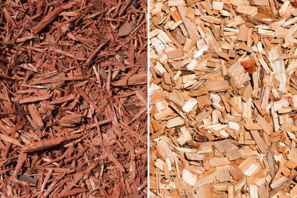 Factors To Help You Decide Between Cedar vs Cypress Mulch