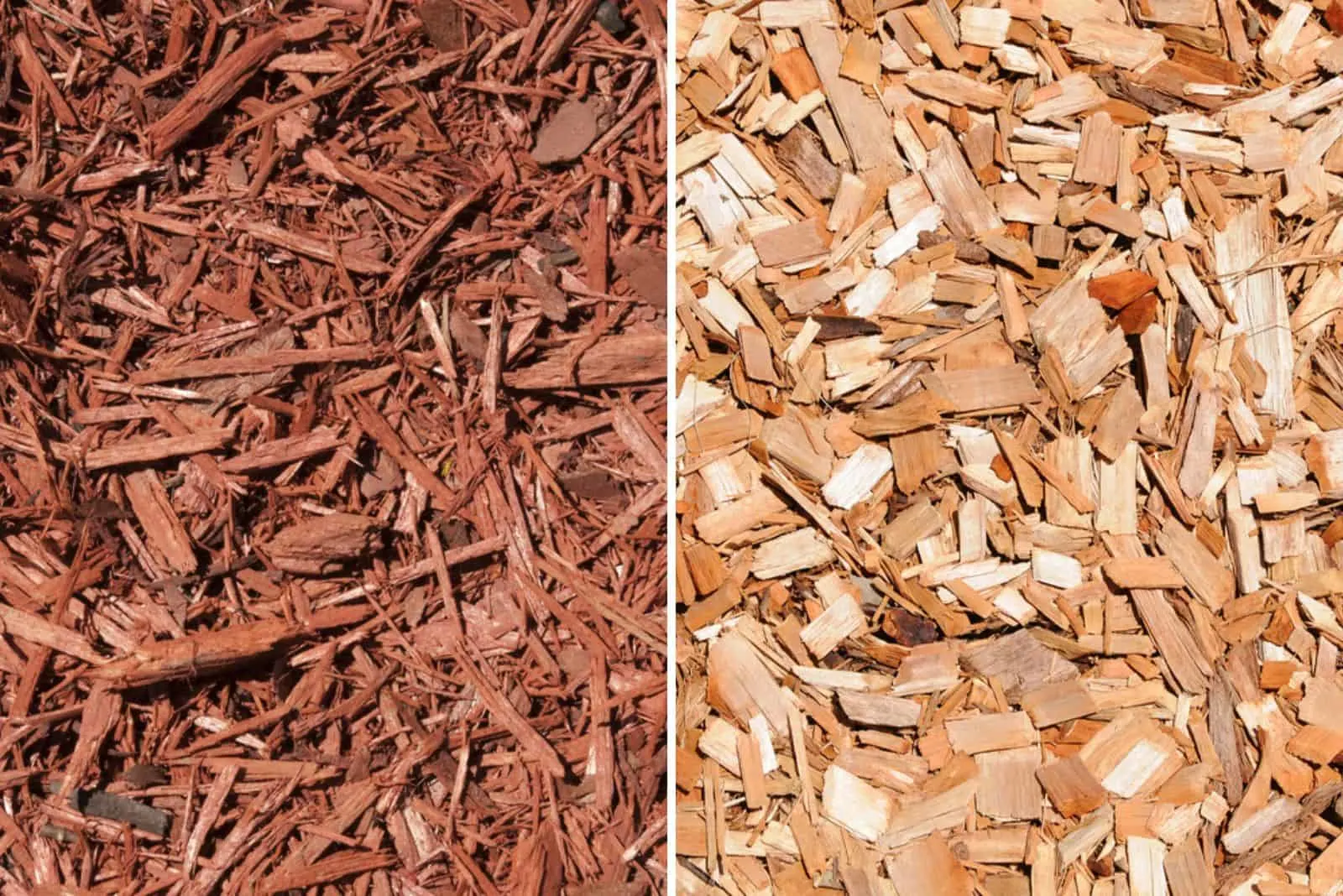 Factors To Help You Decide Between Cedar vs Cypress Mulch