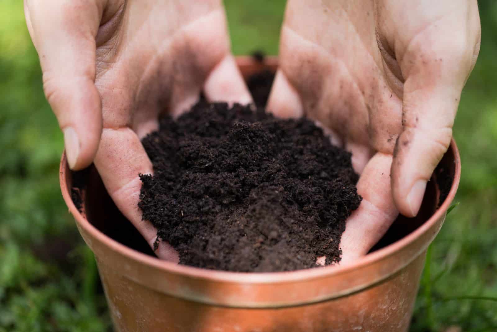 woman putting soil into a pot