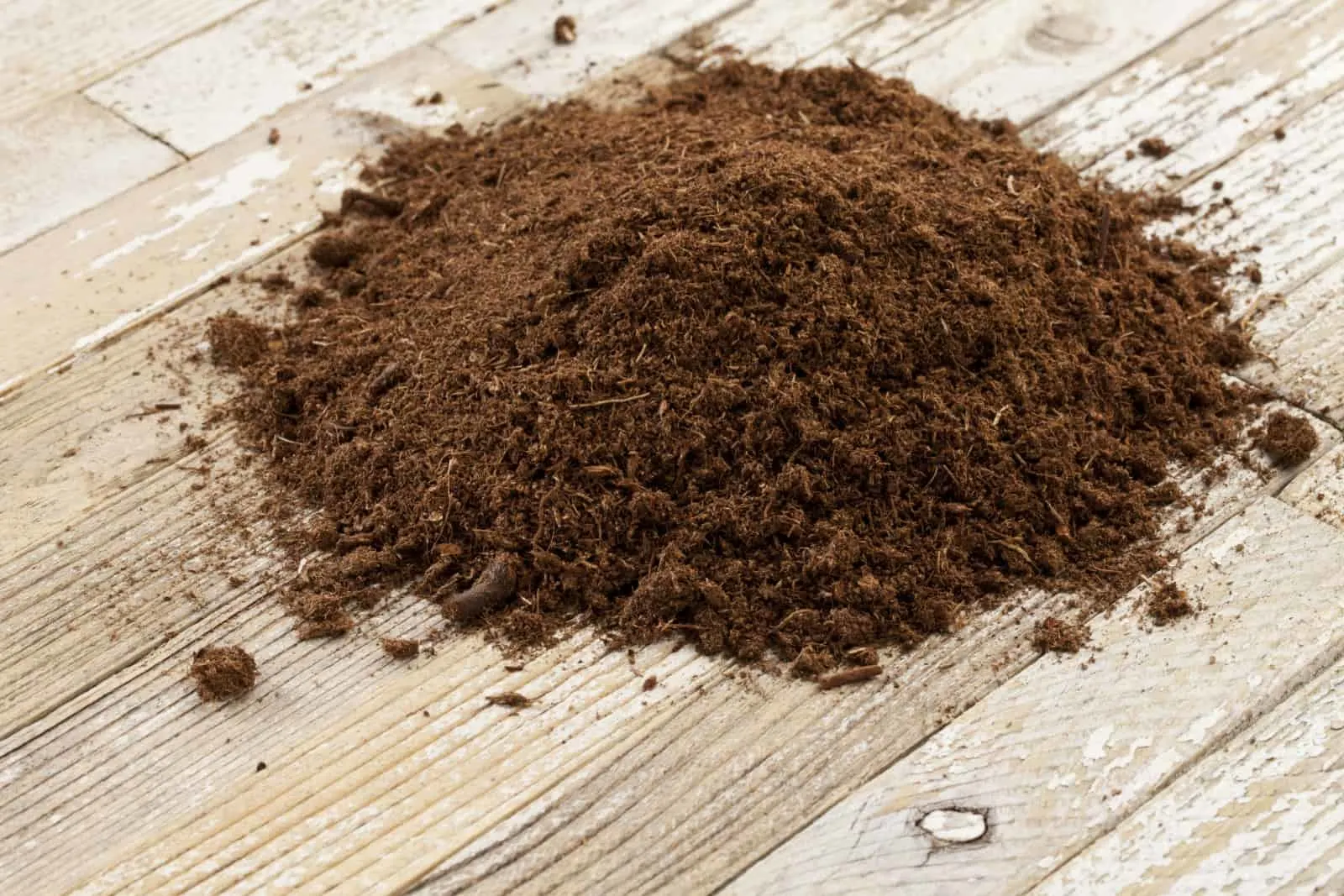 Can You Add Peat Moss To Your Lawn?