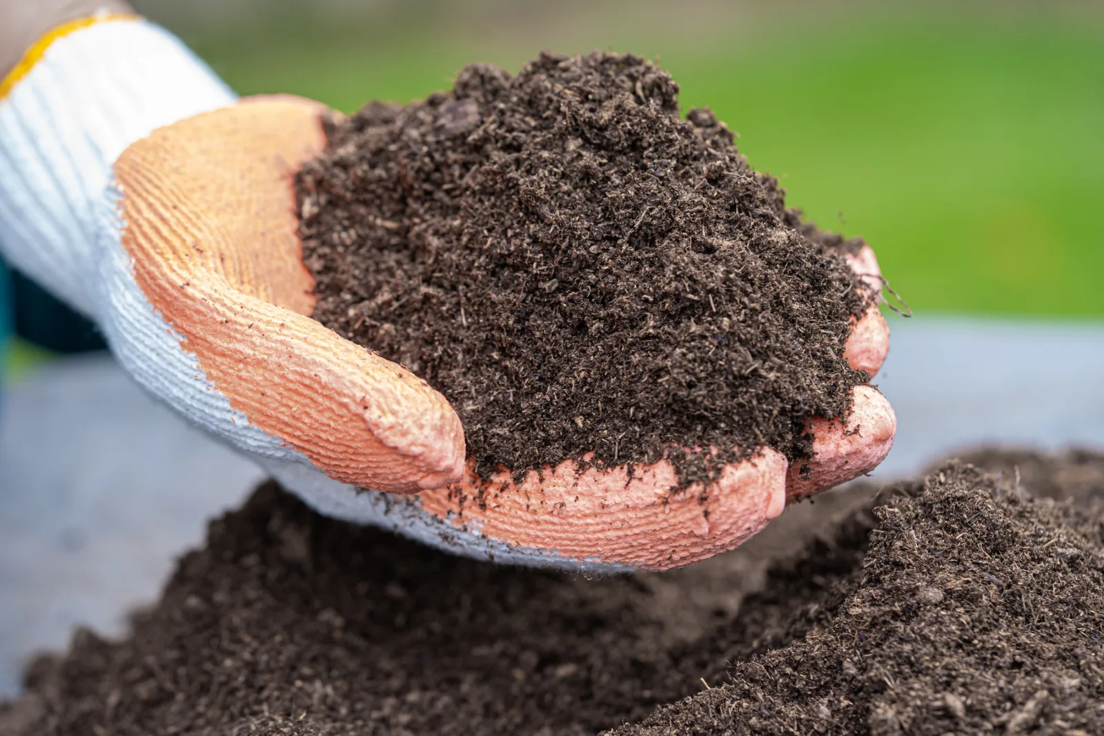 Can You Add Peat Moss To Your Lawn?