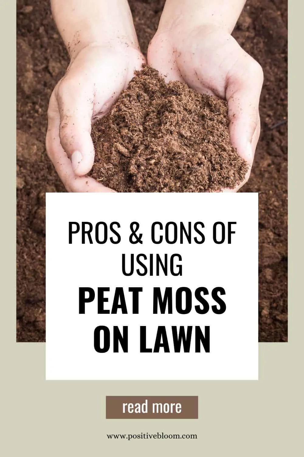 Pros & Cons Of Using Peat Moss On Lawn + The Best Methods Pinterest