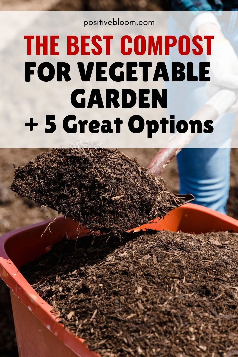 The Best Compost For Vegetable Garden + 5 Great Options Pinterest