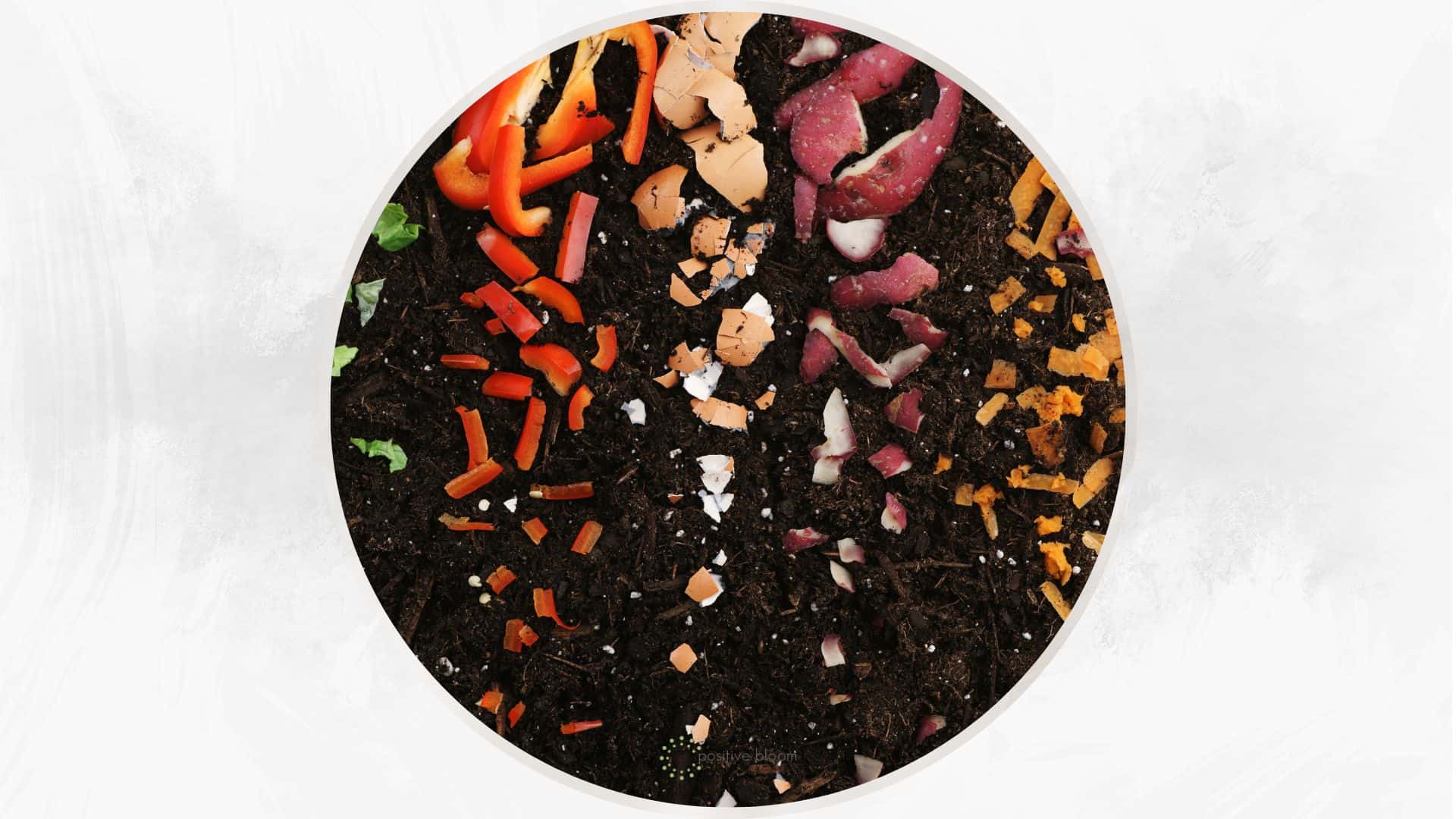 The Best Compost For Vegetable Garden + 5 Great Options