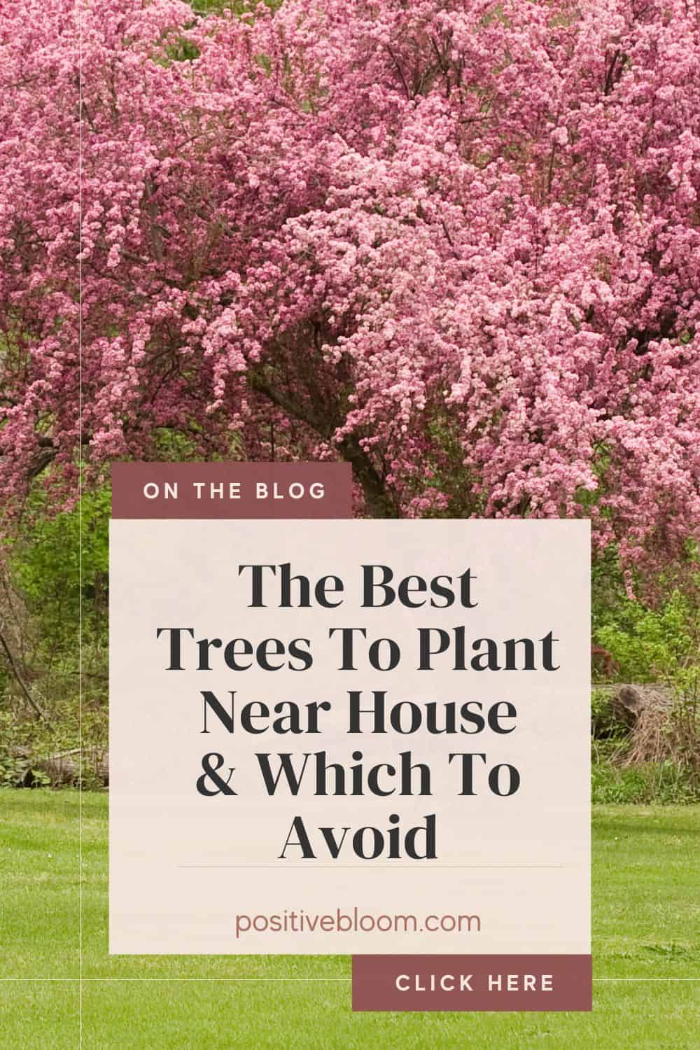 The Best Trees To Plant Near House & Which To Avoid Pinterest