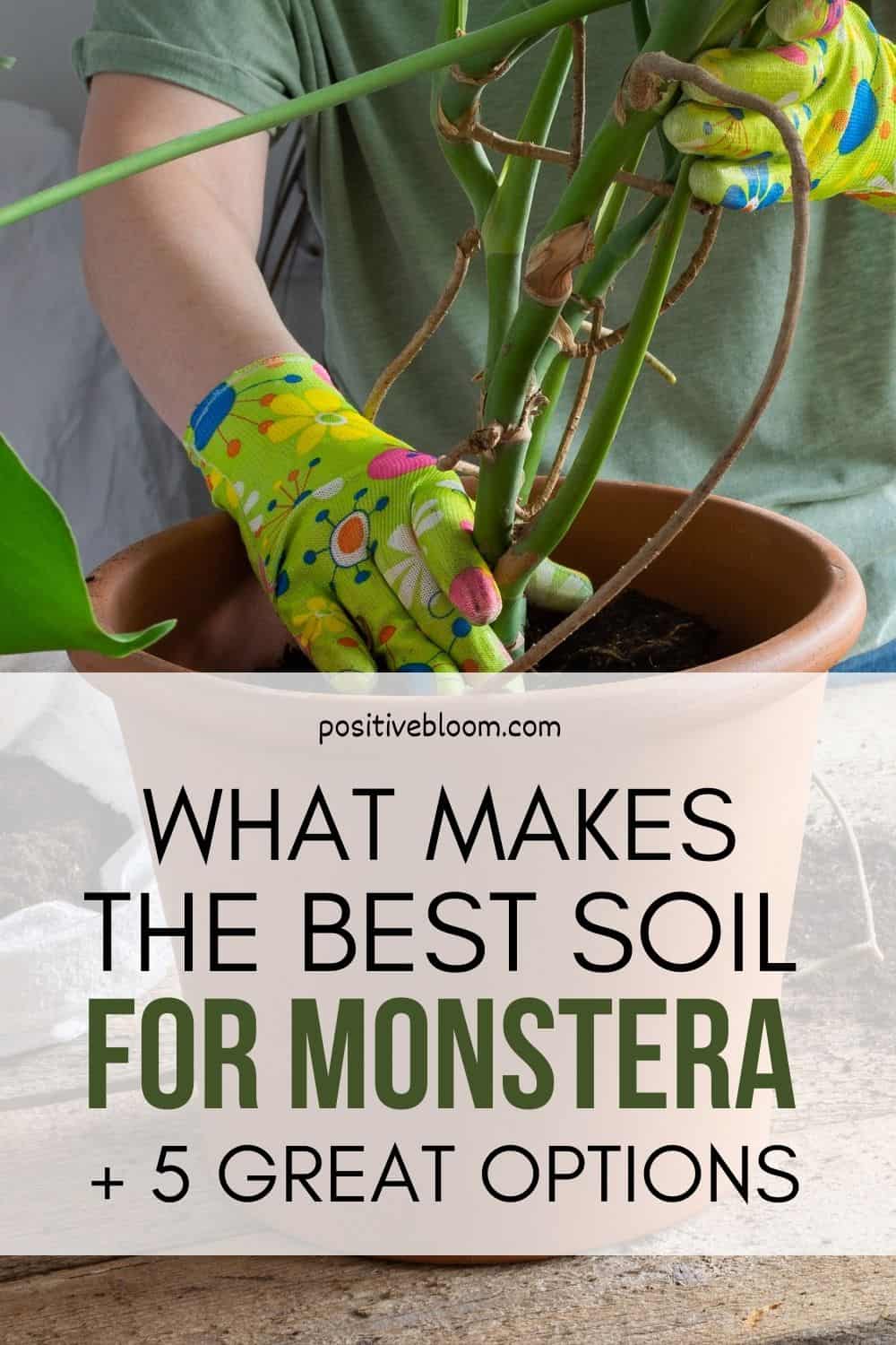 What Makes The Best Soil For Monstera + 5 Great Options In 2023 Pinterest