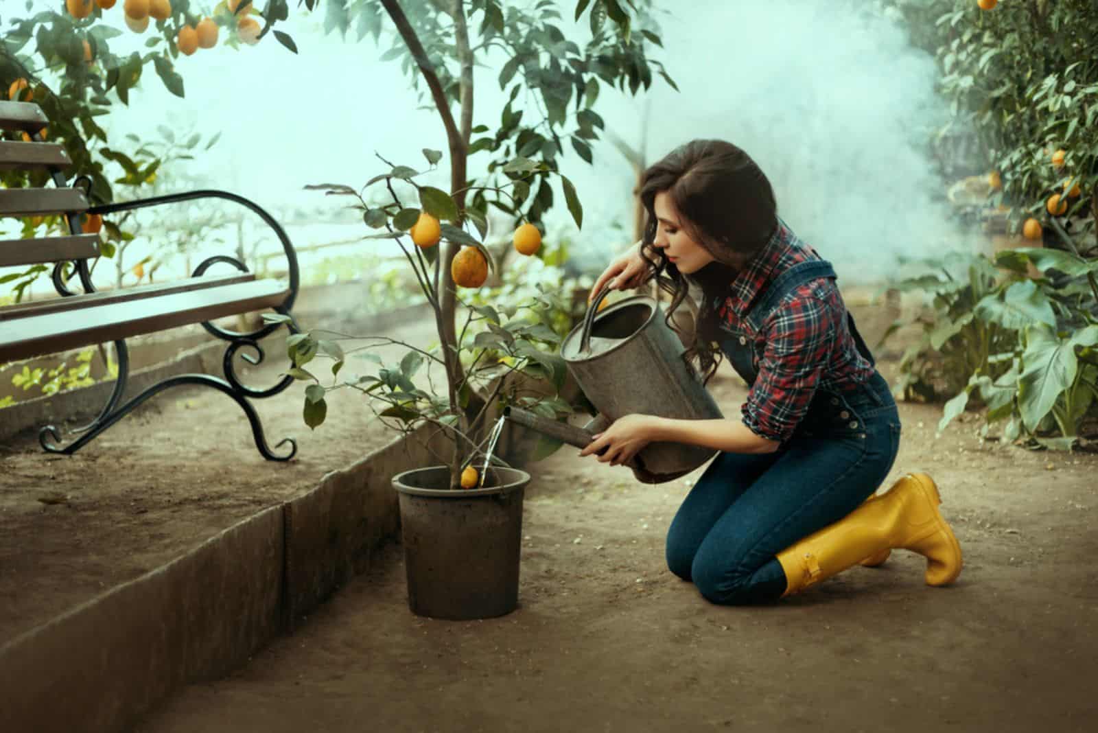 Woman gardener sits on her lap, pouring lemon with water from a watering can