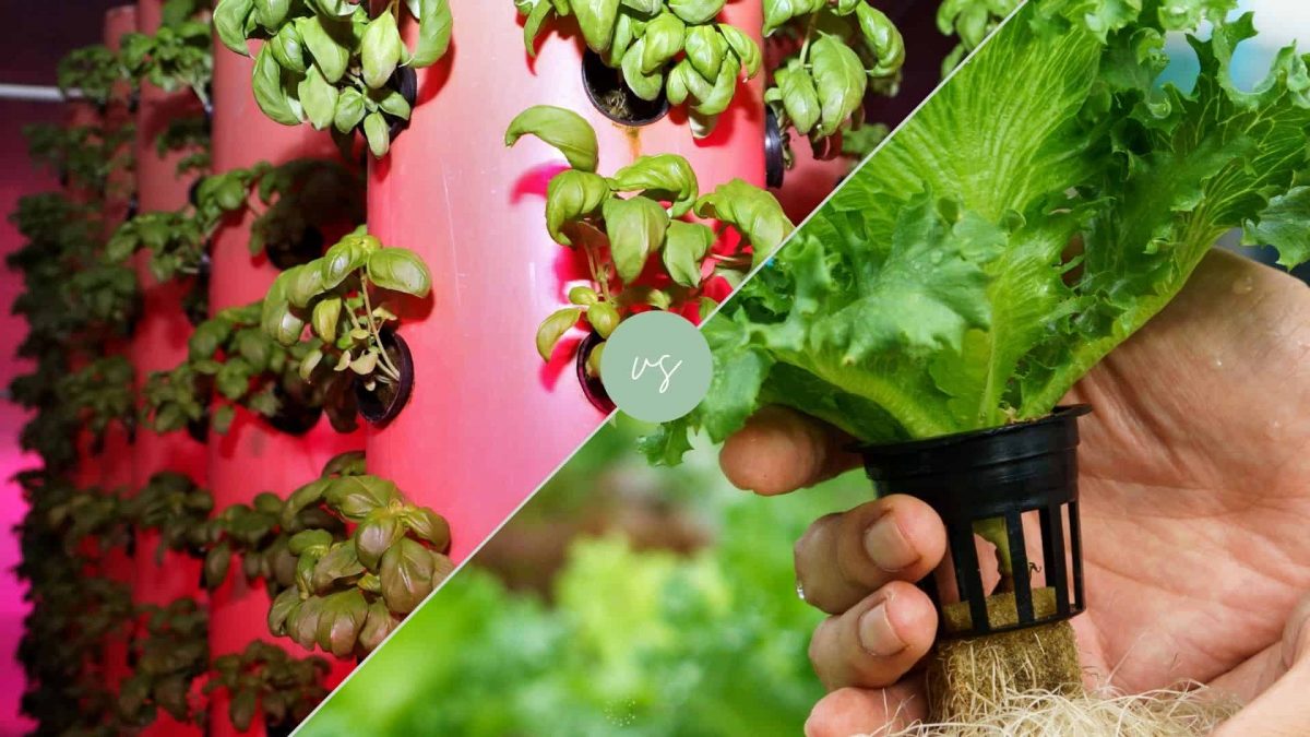 14 Factors To Help You Choose Between Aeroponics vs Hydroponics