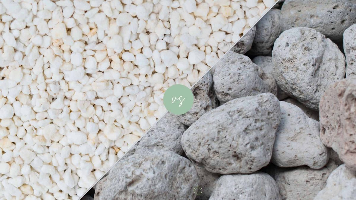 6 Factors That Help Distinguish Between Perlite vs Pumice