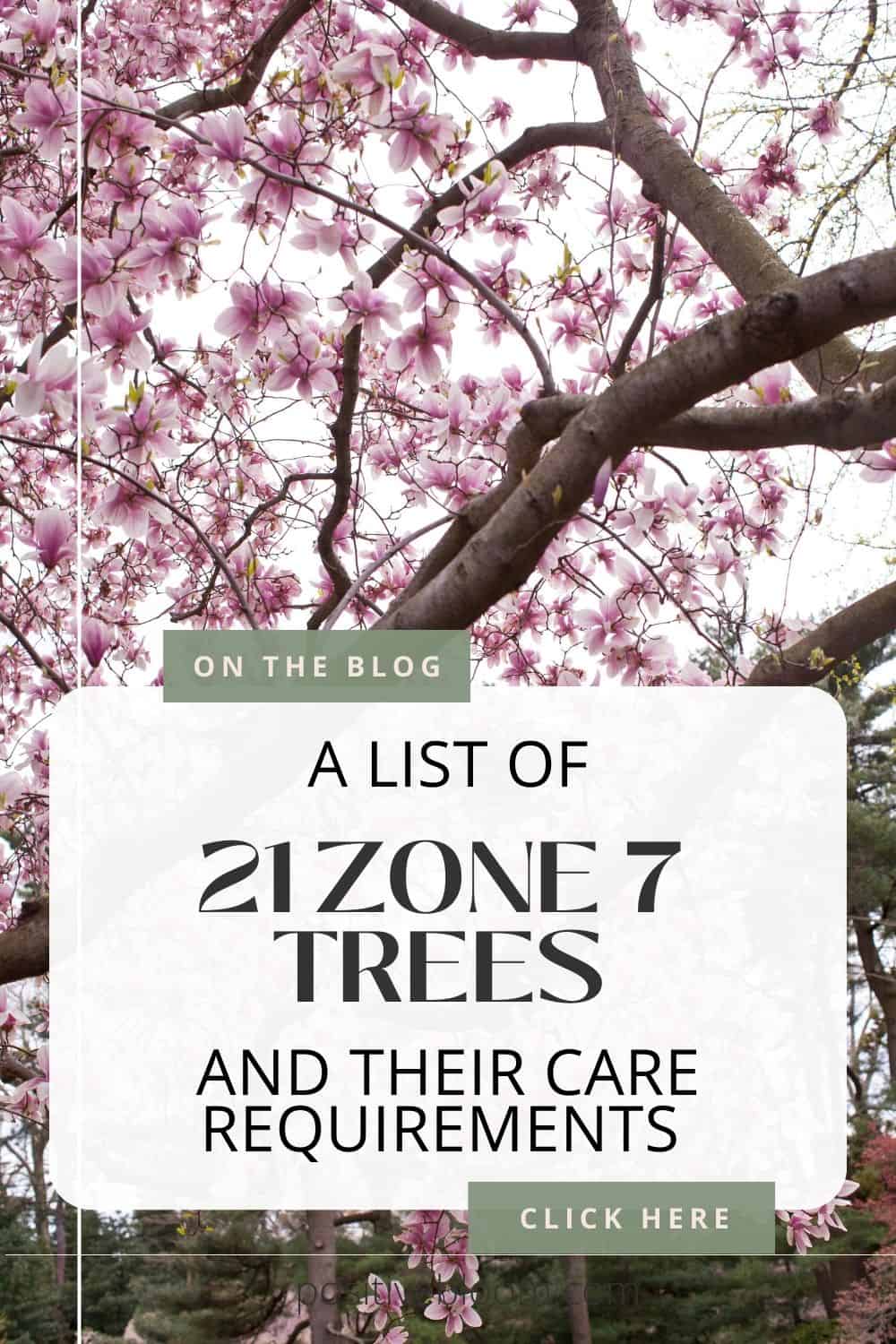 A List Of 21 Zone 7 Trees And Their Care Requirements Pinterest