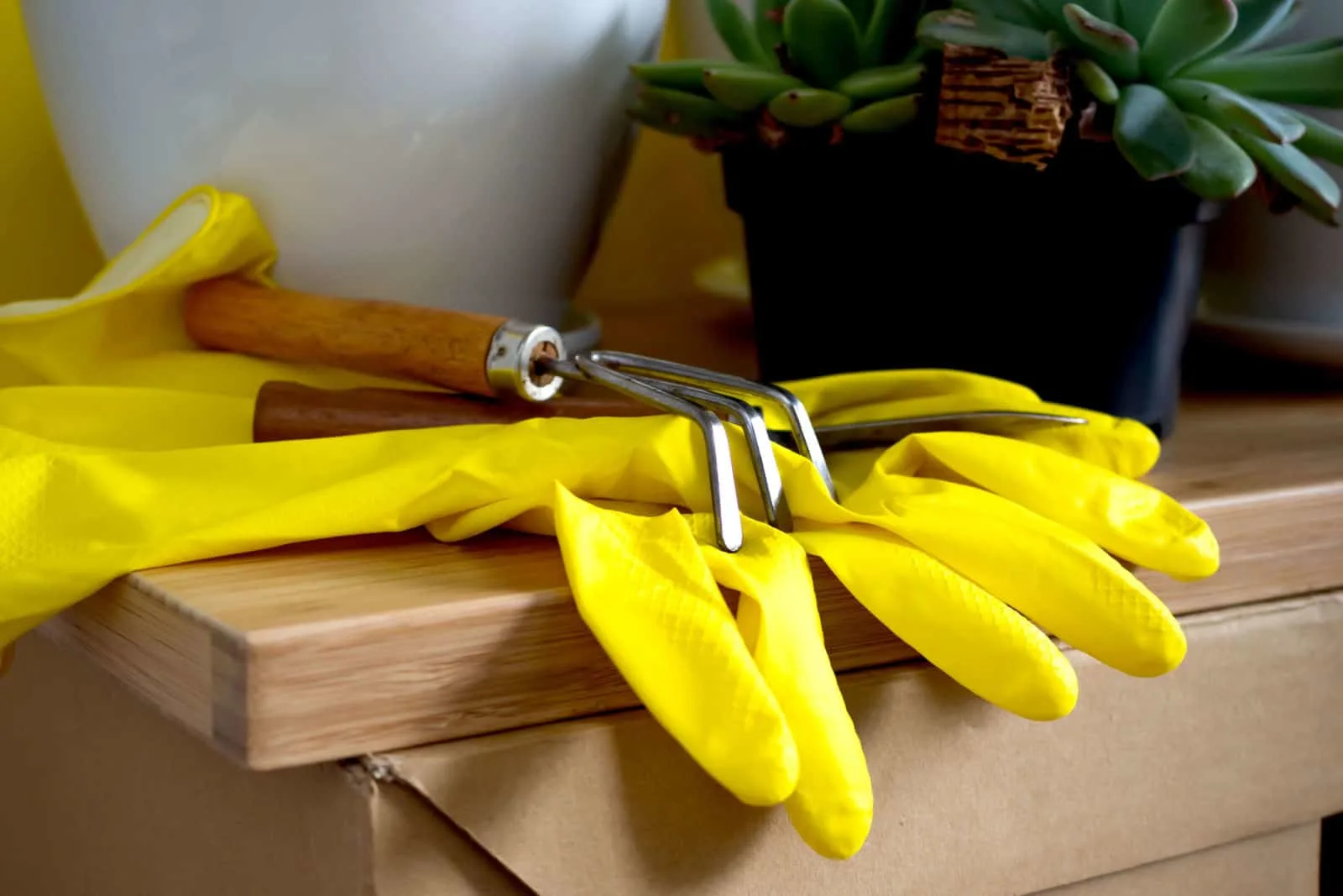 Close-up composition of yellow gardening gloves and tools