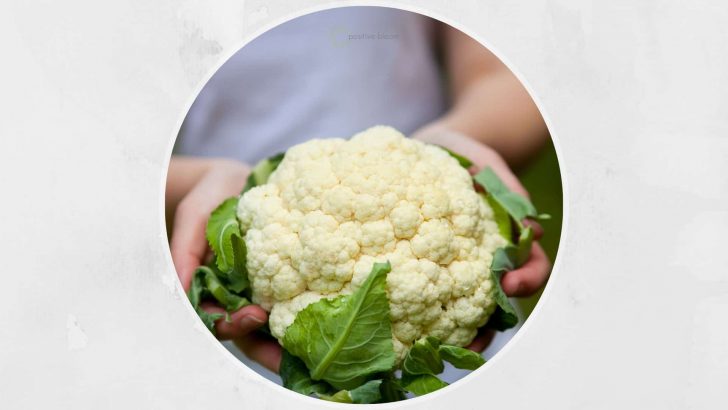 Is Cauliflower Man-Made? A Helpful Guide To This Plant’s Origin