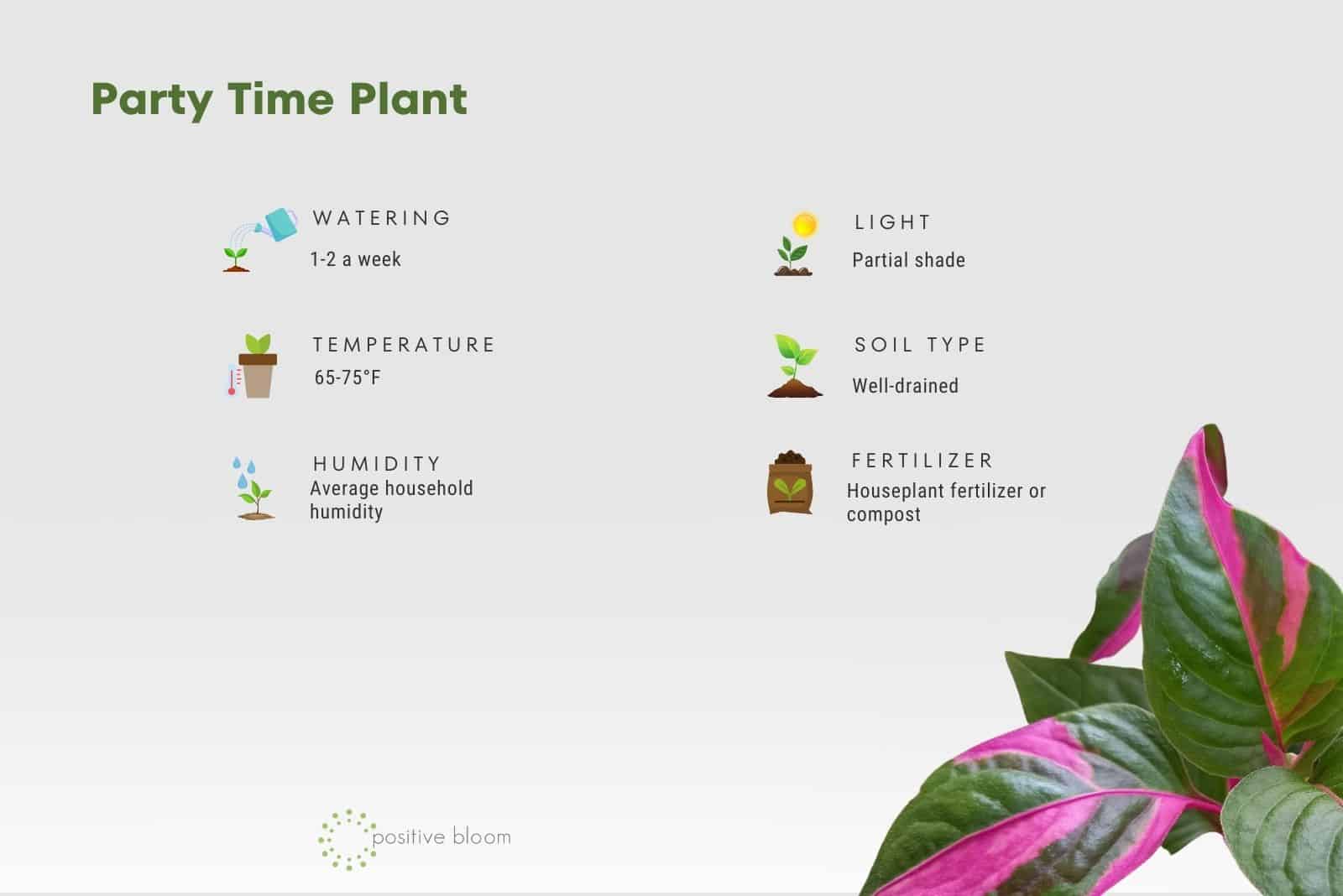Party Time Plant  guide