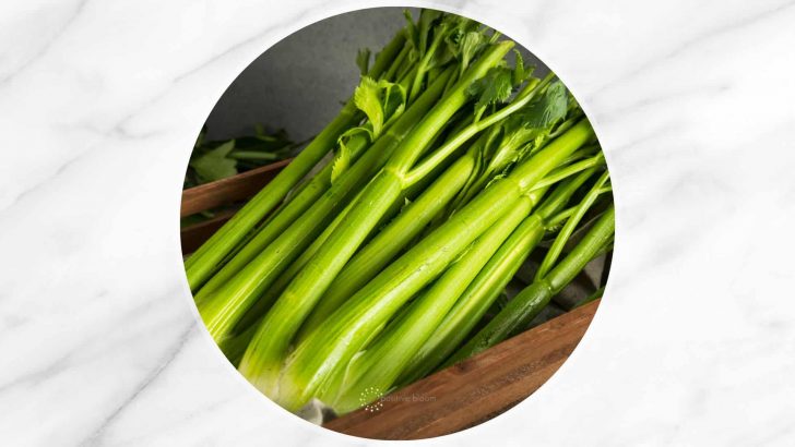 The Best Celery Companion Plants To Grow In Your Garden
