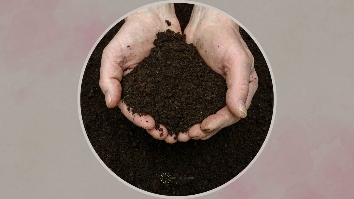 What Attracts Flies In Compost + How To Get Rid Of Them