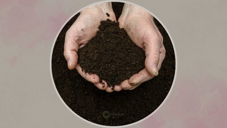 hands full of compost