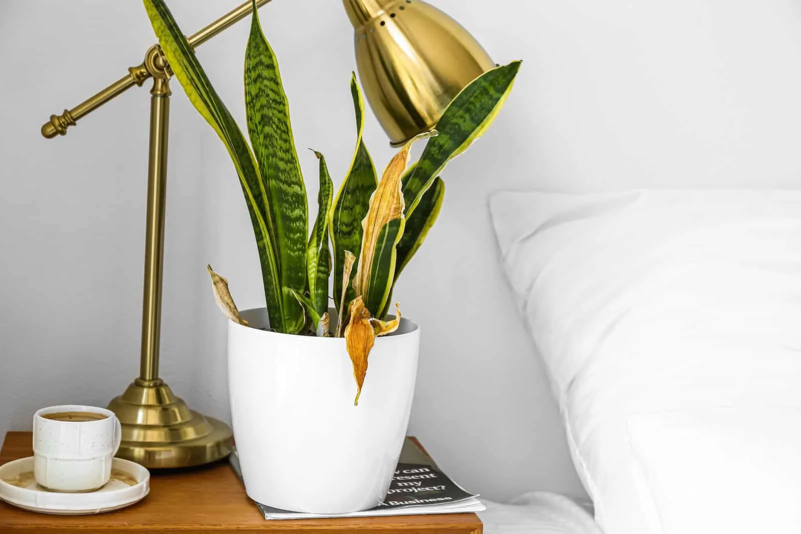 Wilted houseplant, lamp and cup of coffee on table near light wall in bedroom