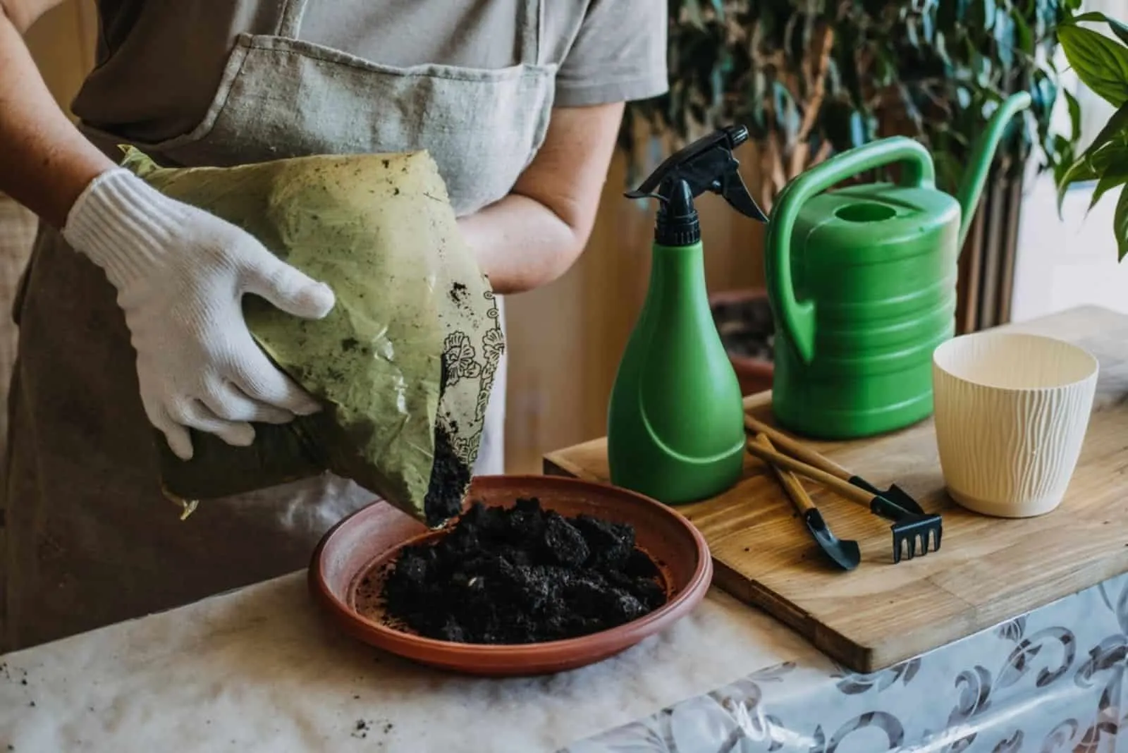 Woman is transplanting plant into new pot at home