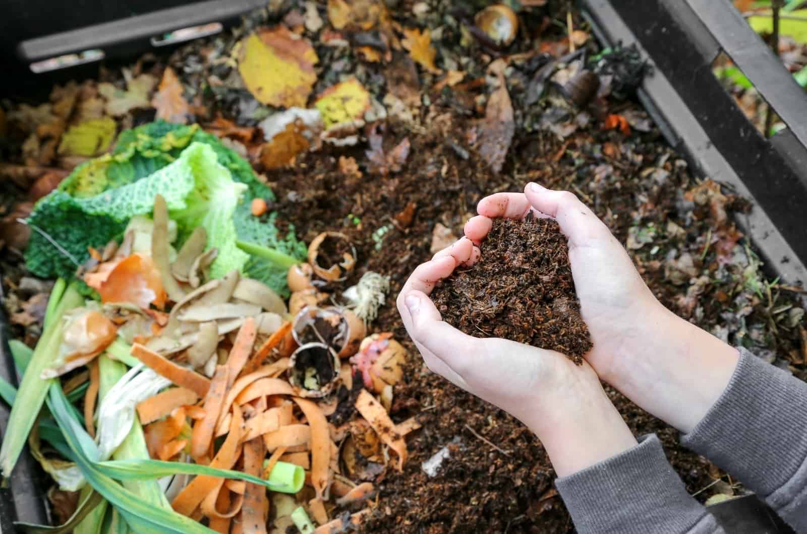 hands holding compost from bin