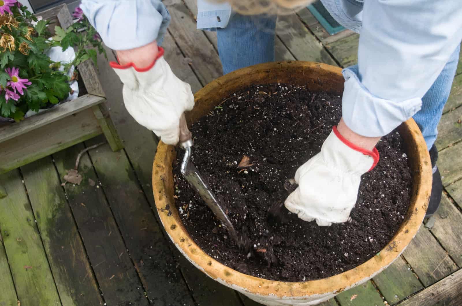 mixing Pothos Soil in pot