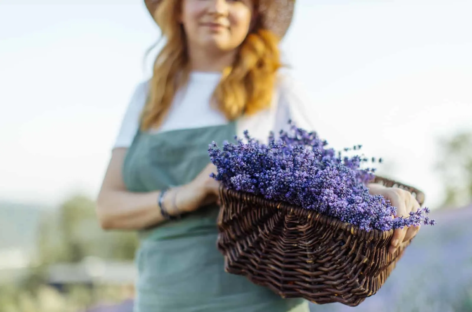 woman holding a basket of lavender flowers