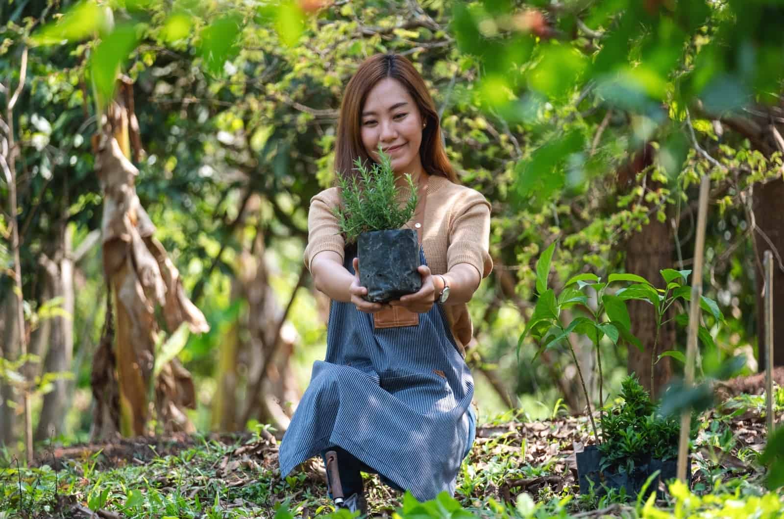 woman holding plant while working in garden