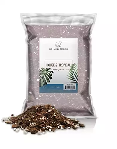 Rio Hamza Trading House & Tropical Potting Mix