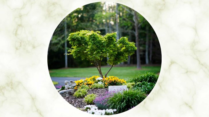 8 Helpful Tips For Landscaping Around Trees With Rocks