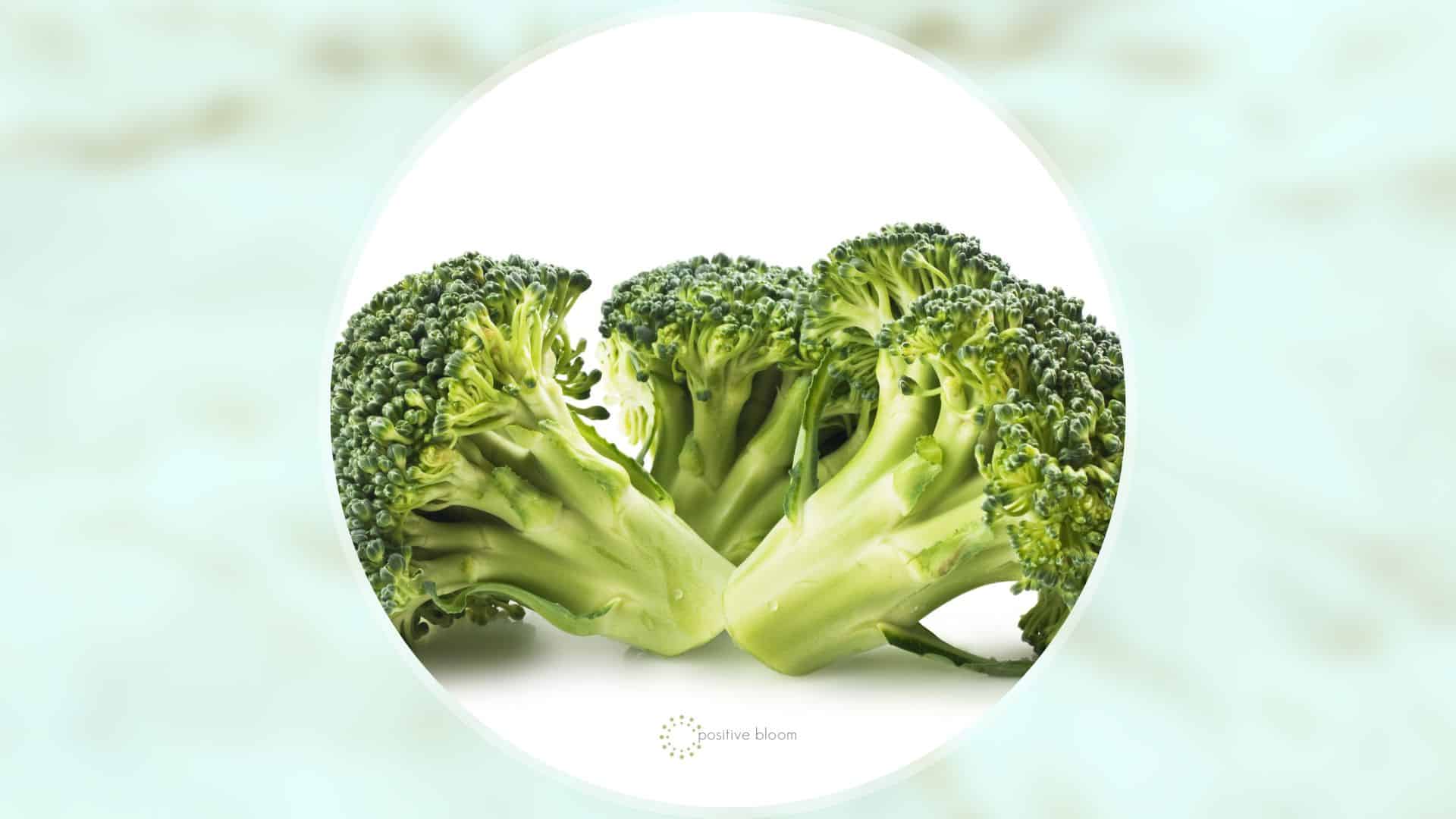 Helpful Tips And Tricks On How To Grow Hydroponic Broccoli