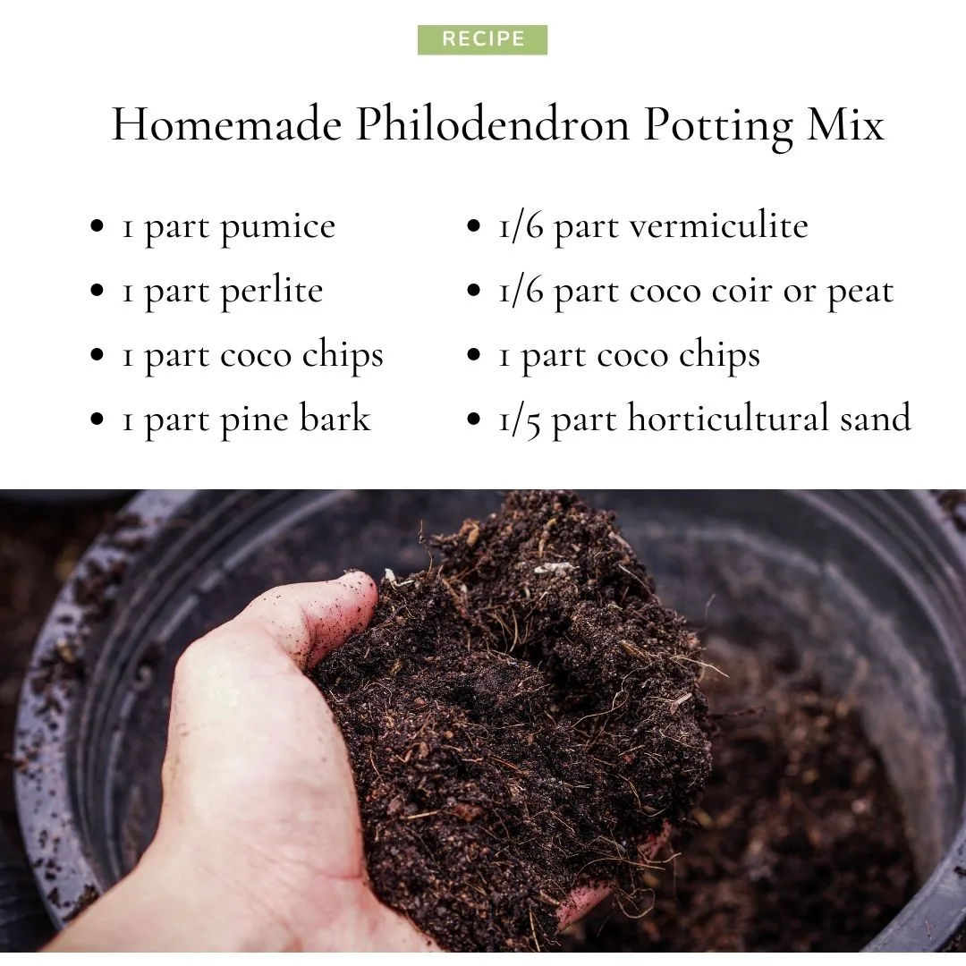 Homemade Philodendron Potting Mix