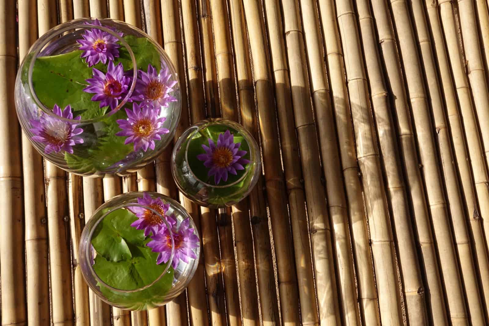 Purple lotus flower in three glass jars on bamboo background