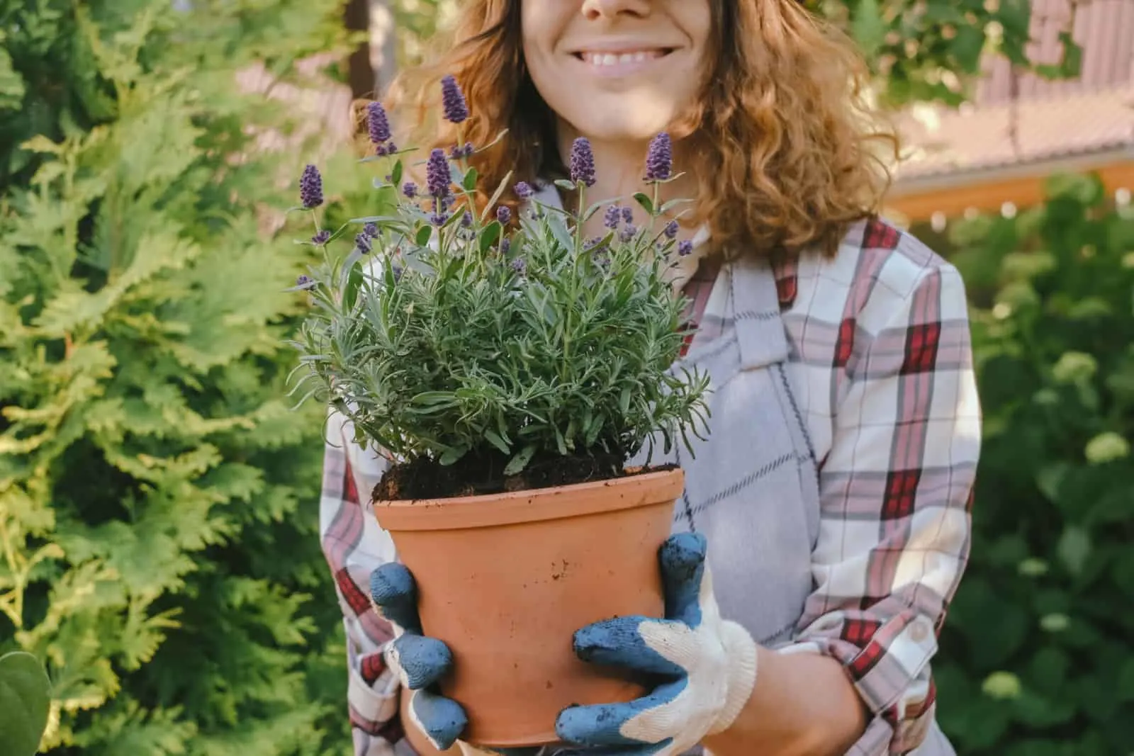 Young woman holds lavender plant in pot outdoors.