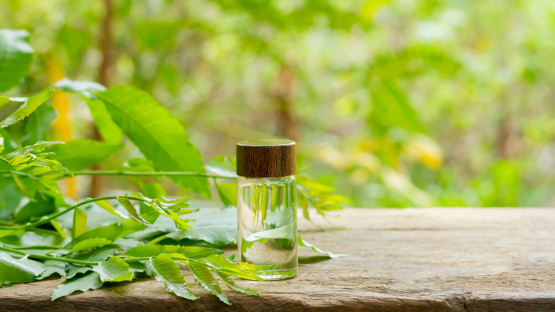 Neem Oil