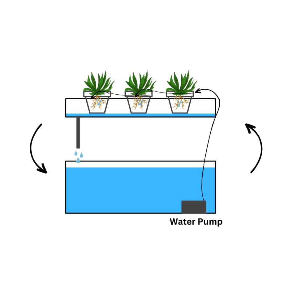 6 Types Of Hydroponic Systems + Tips To Choose Between Them