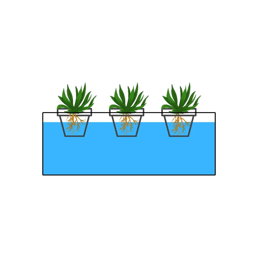 Kratky Method