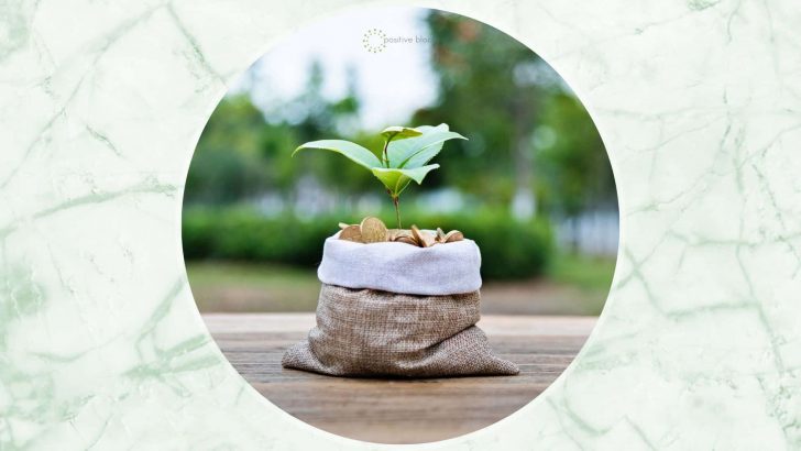 The 7 Disadvantages Of Grow Bags Every Gardener Should Know
