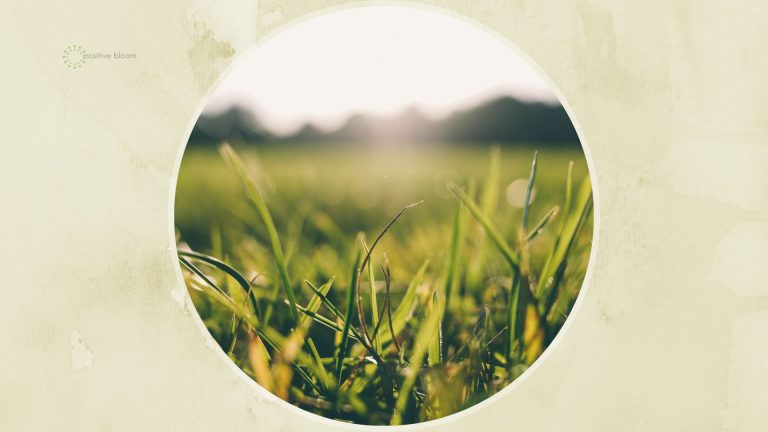 does grass produce oxygen