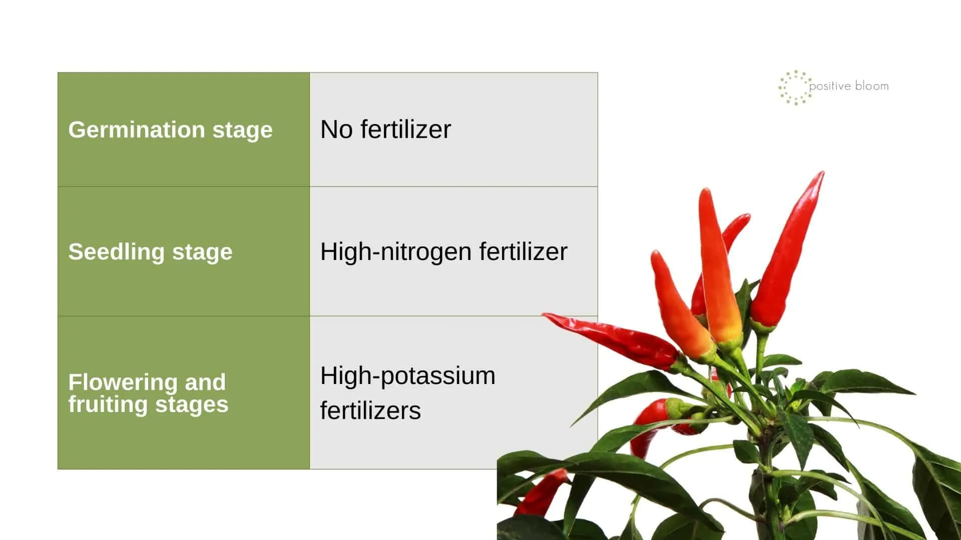 Fertilizer For Chilli Plants Nutrition