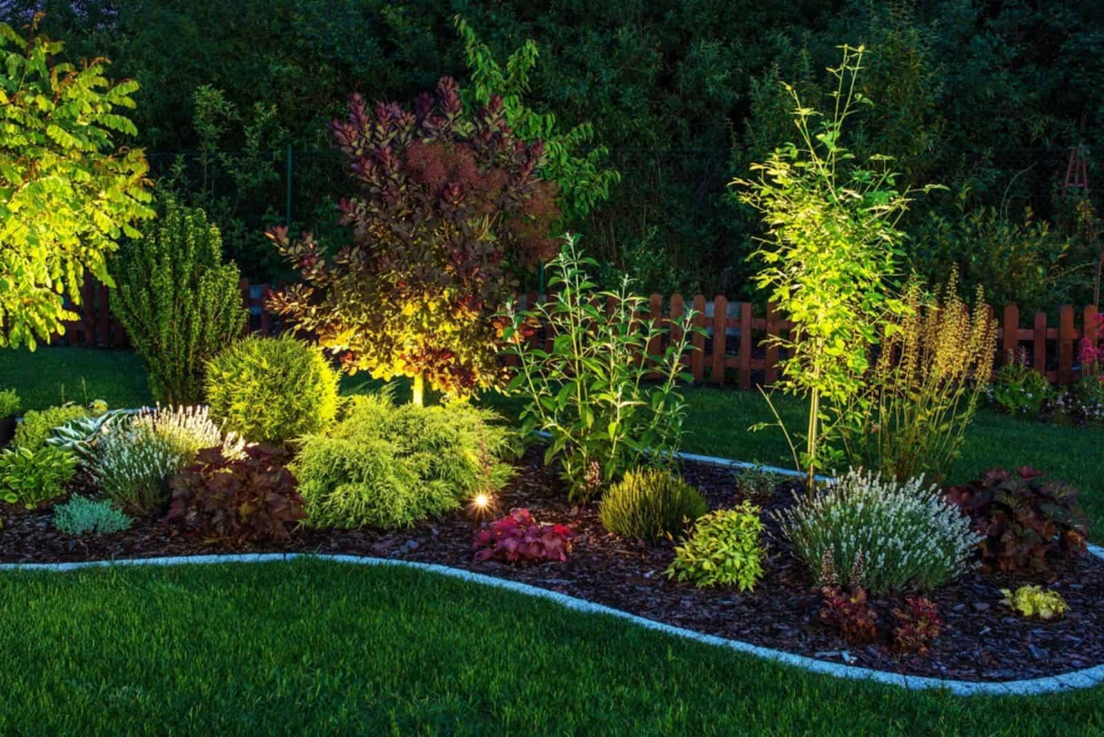 Illuminated Garden by LED Lighting