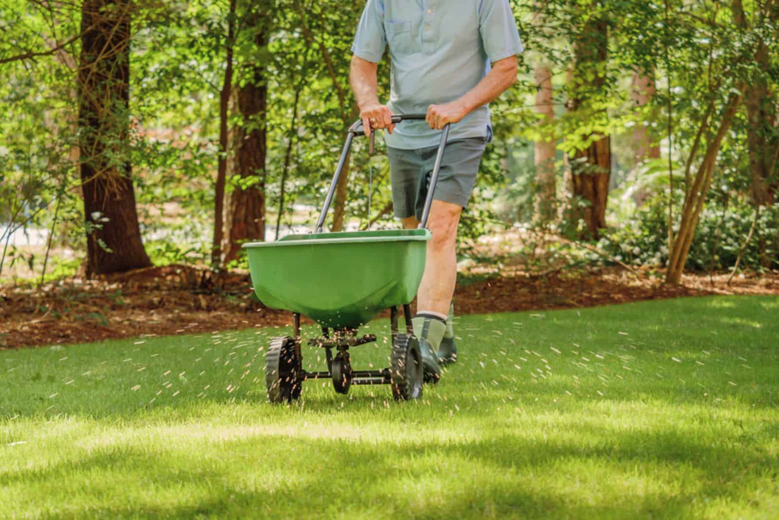 Man fertilizing and seeding residential backyard lawn
