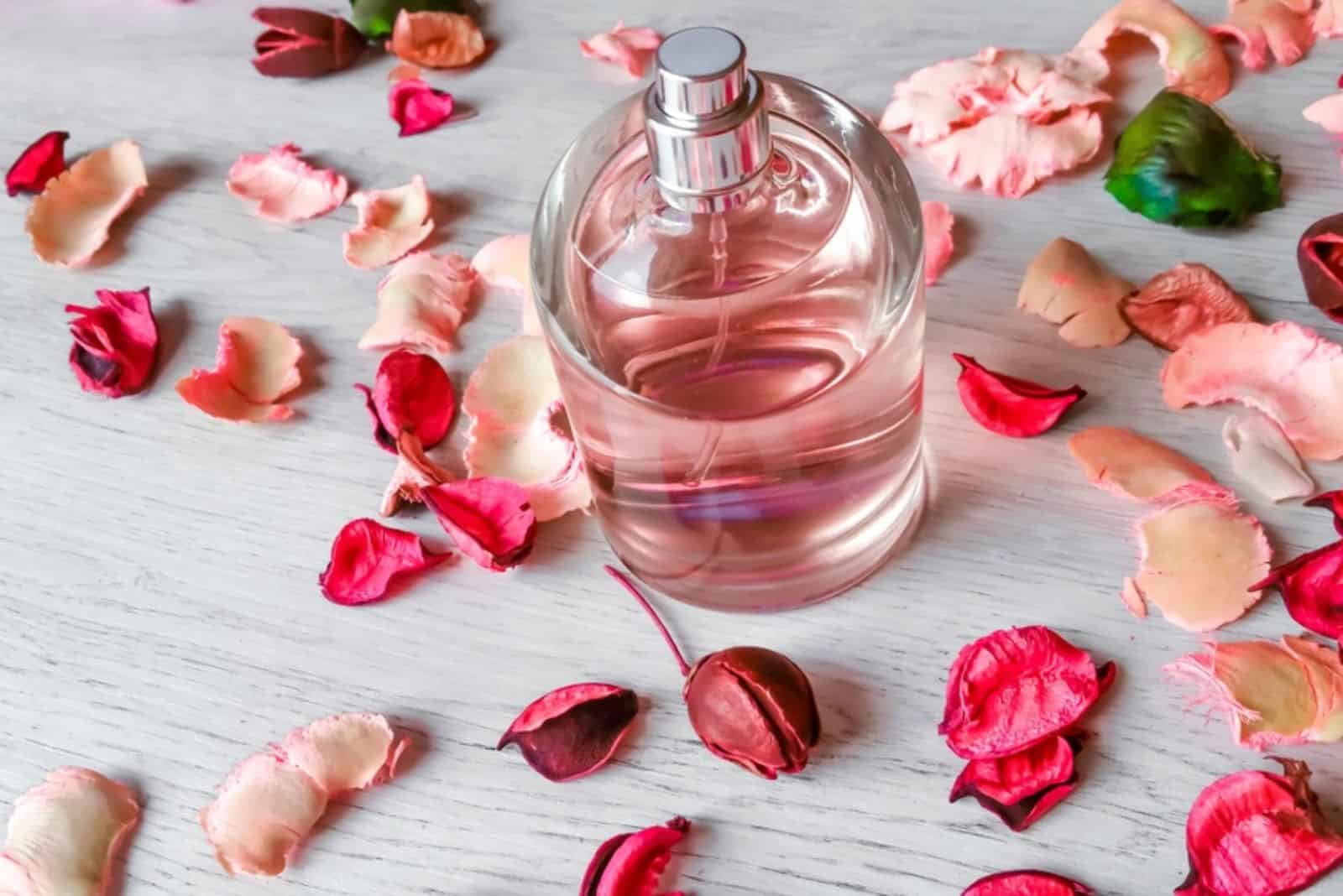Perfume bottle with a delicate pink fragrance and rose petals